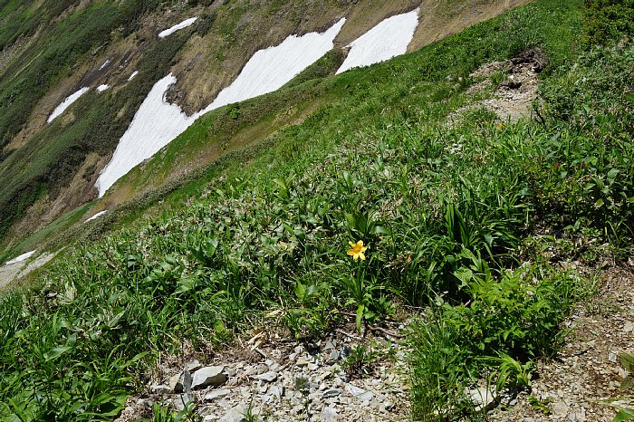 dsc08601.JPG