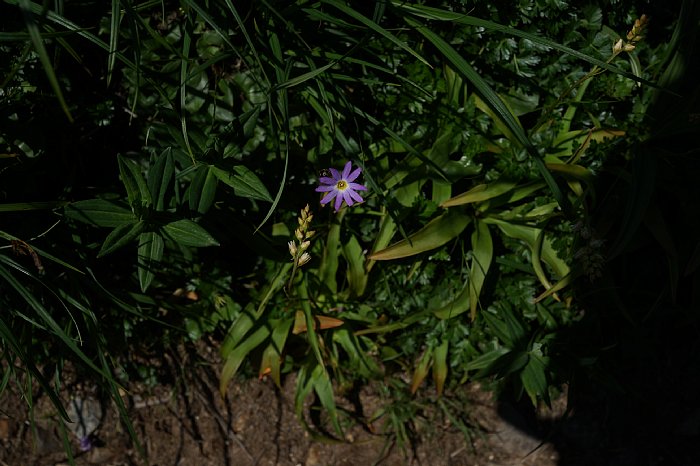 dsc08608.JPG