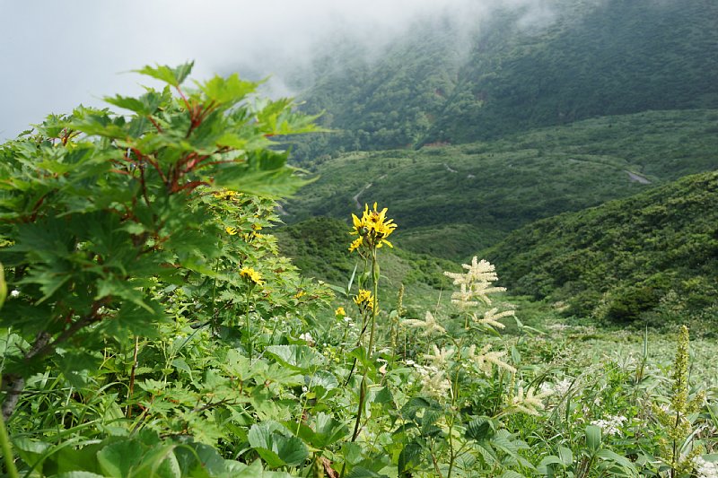 DSC06018.JPG