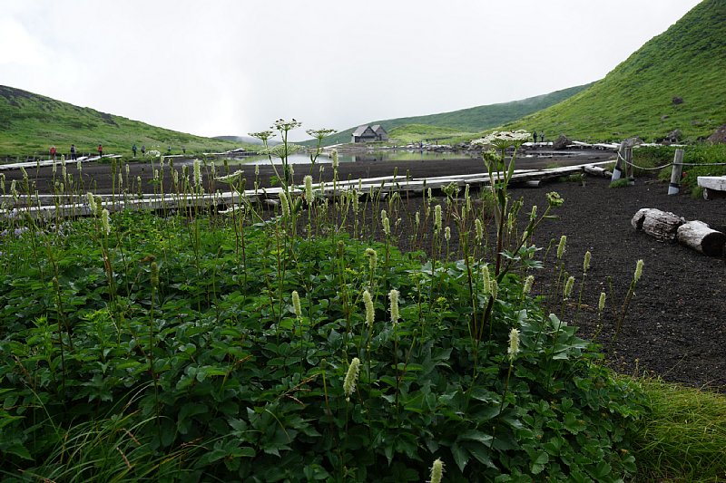 DSC06080.JPG