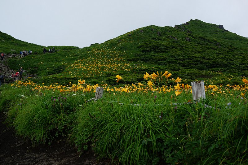 DSC06082.JPG