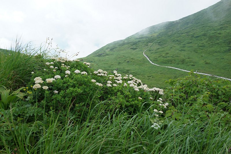 DSC06090.JPG
