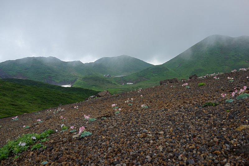 DSC06137.JPG