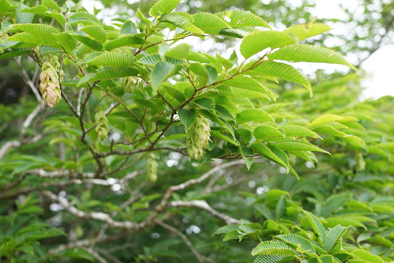 DSC05869.JPG