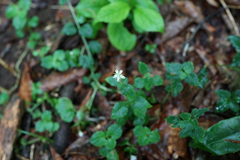 DSC05892.JPG