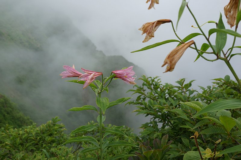 DSC05895.JPG