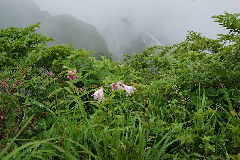 DSC05898.JPG