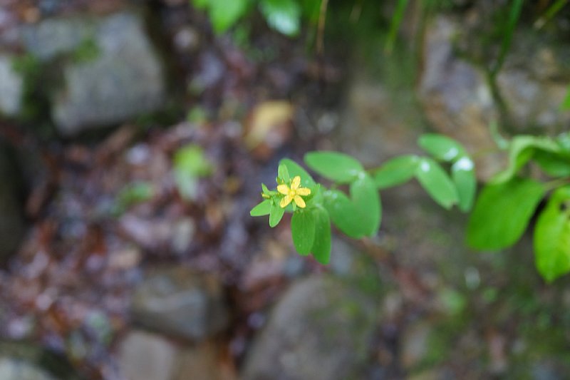 DSC05491.JPG