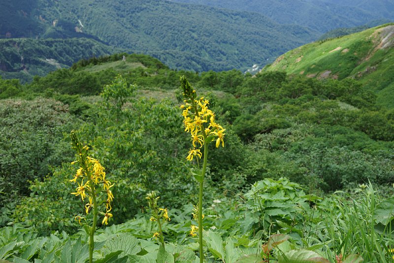 DSC05599.JPG