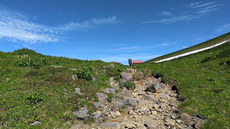 DSC_1819.JPG