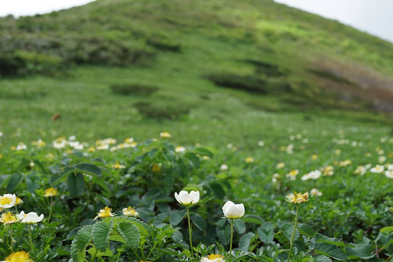 DSC05208.JPG