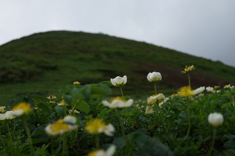 DSC05210.JPG
