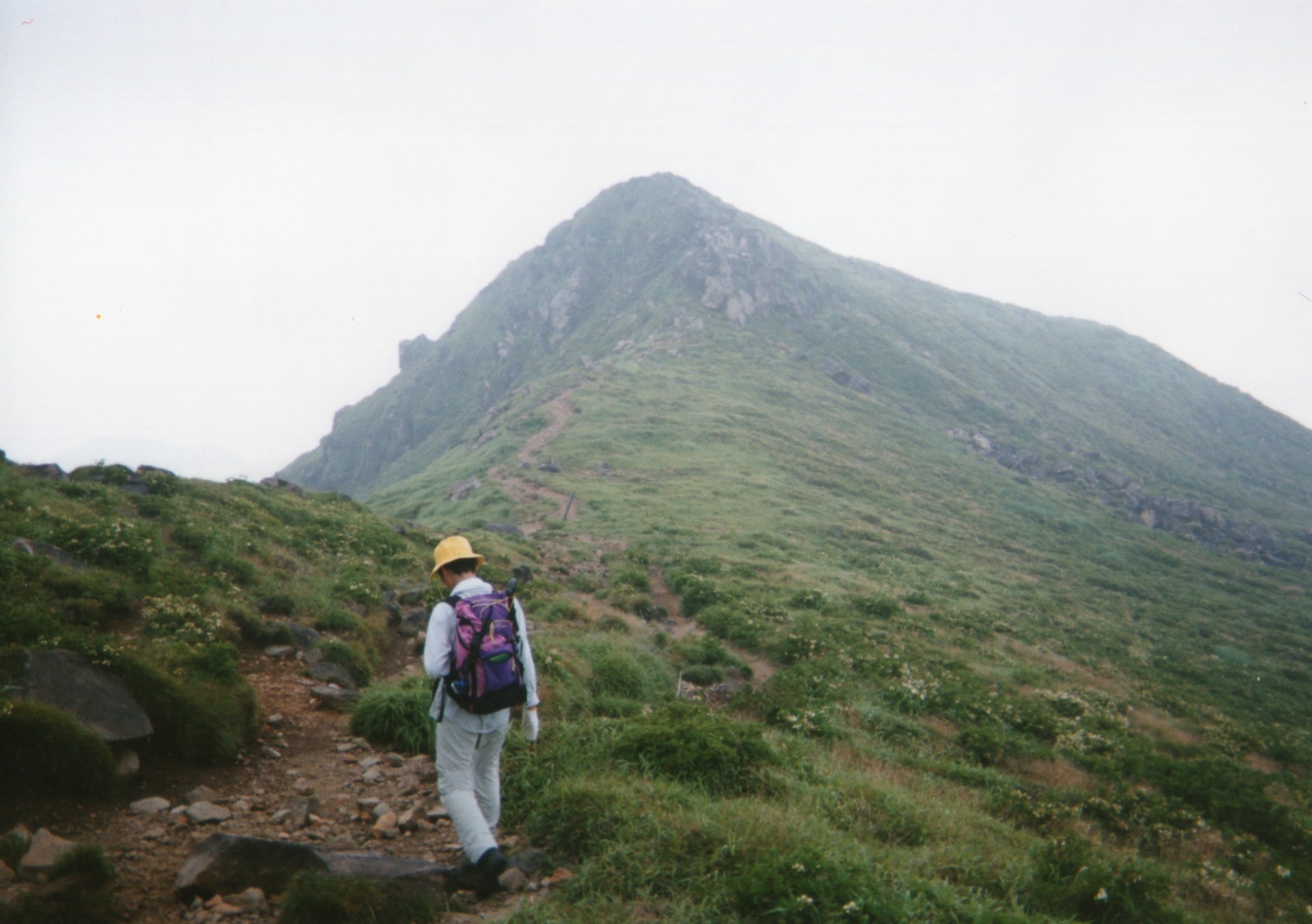 img010.jpg