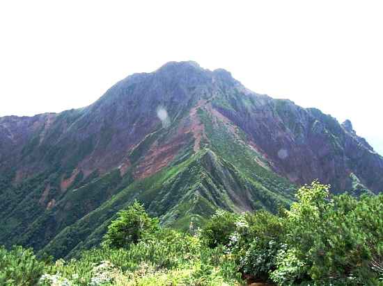 DSCF8565.jpg