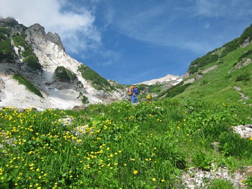 IMG_2097.jpg