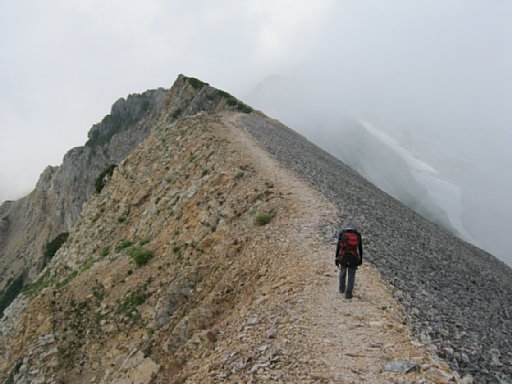 IMG_2116.jpg