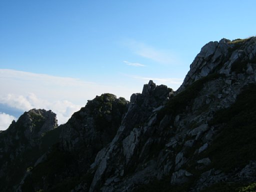 IMG_2166.jpg