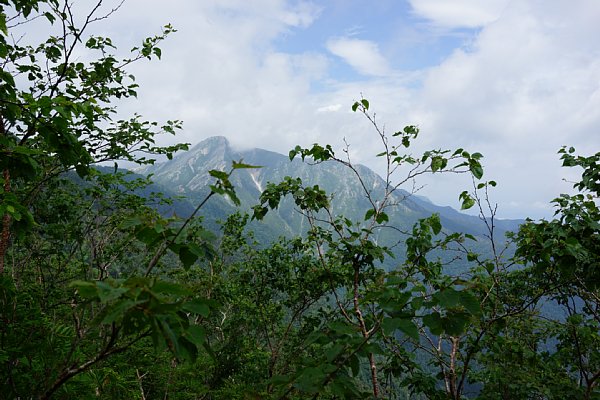 DSC01855.JPG
