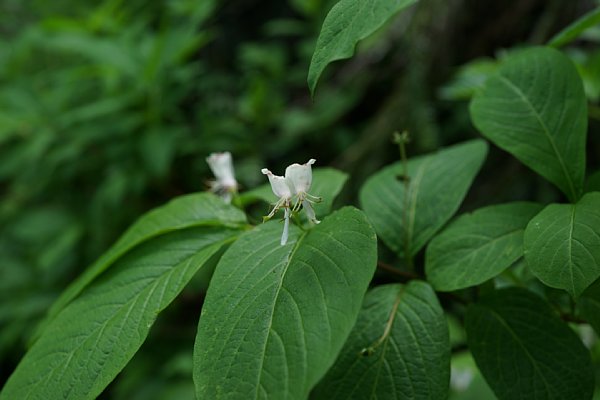 DSC01860.JPG