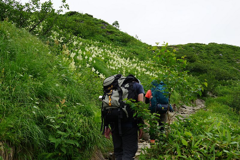DSC06236.JPG