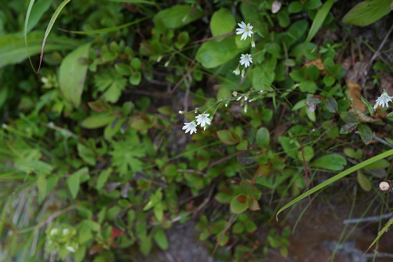 DSC06250.JPG
