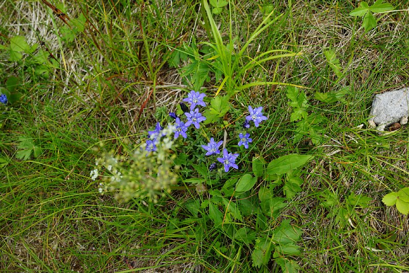 DSC06252.JPG
