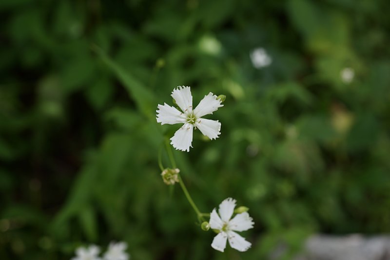 DSC06304.JPG