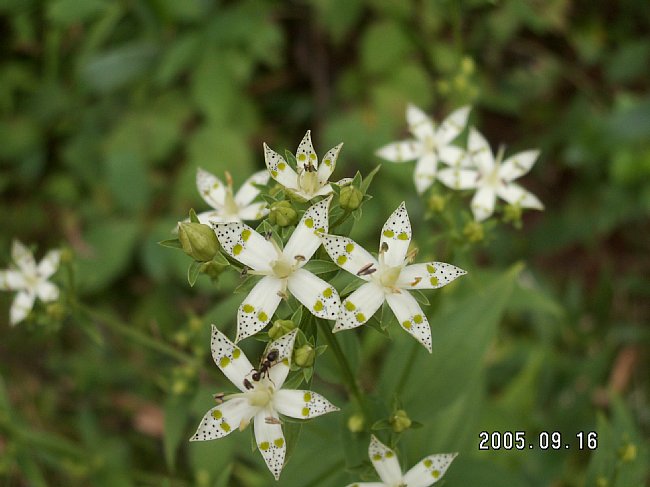 PICT2054.JPG
