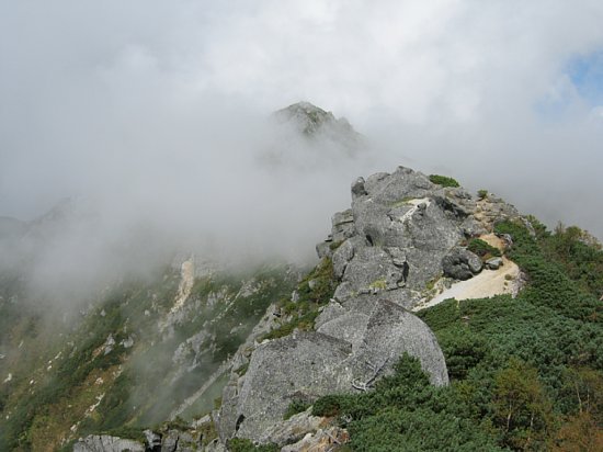 IMG_0919.jpg