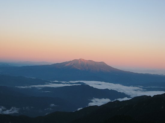 IMG_0950.jpg