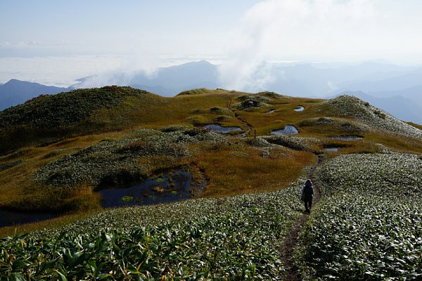 DSC05860.JPG