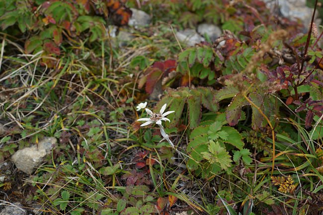 DSC00356.JPG