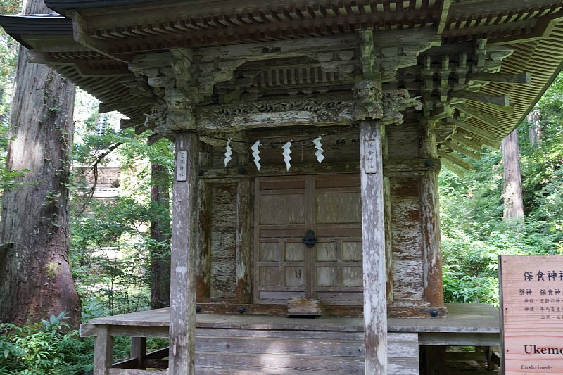 DSC06060.JPG