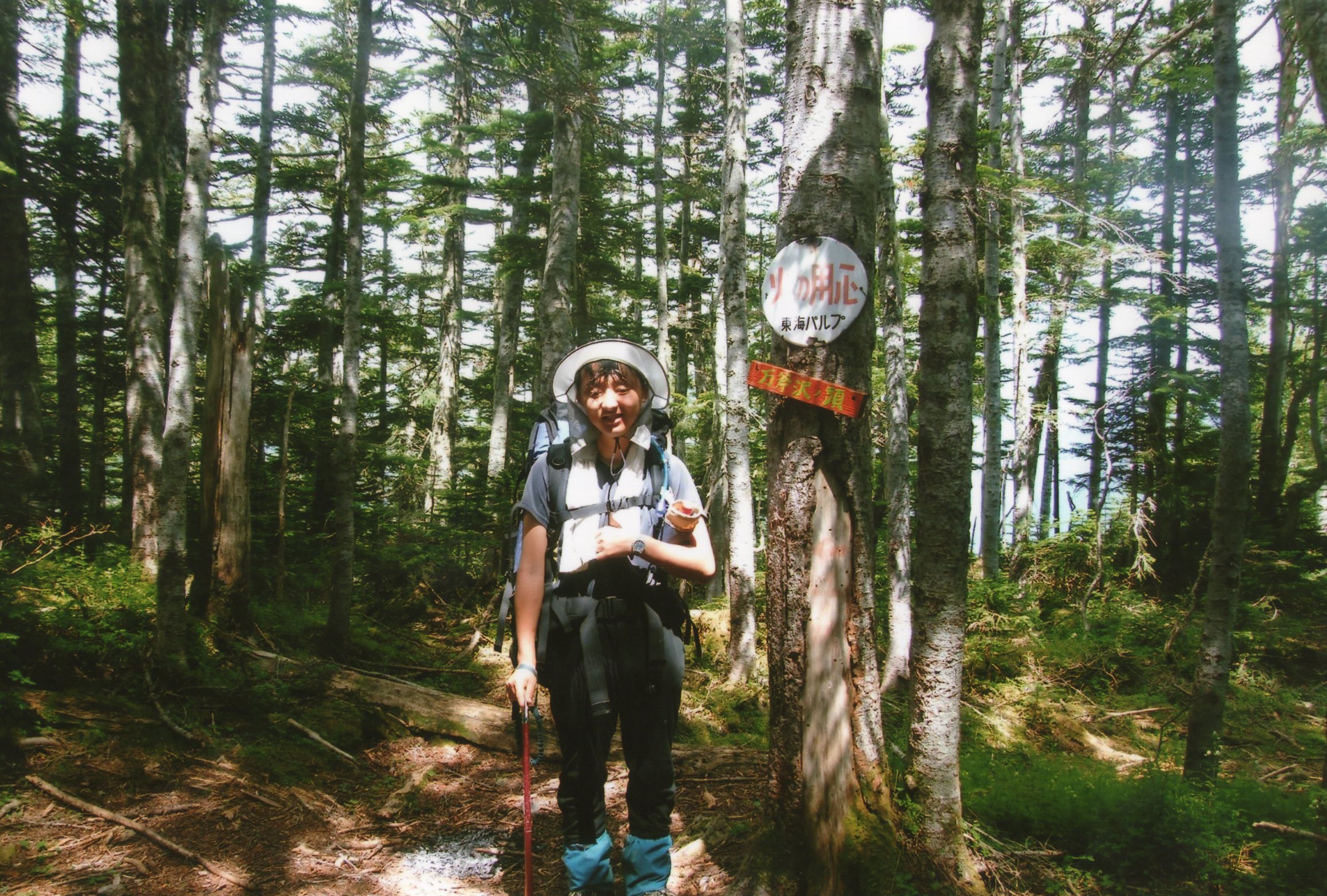 img017.jpg