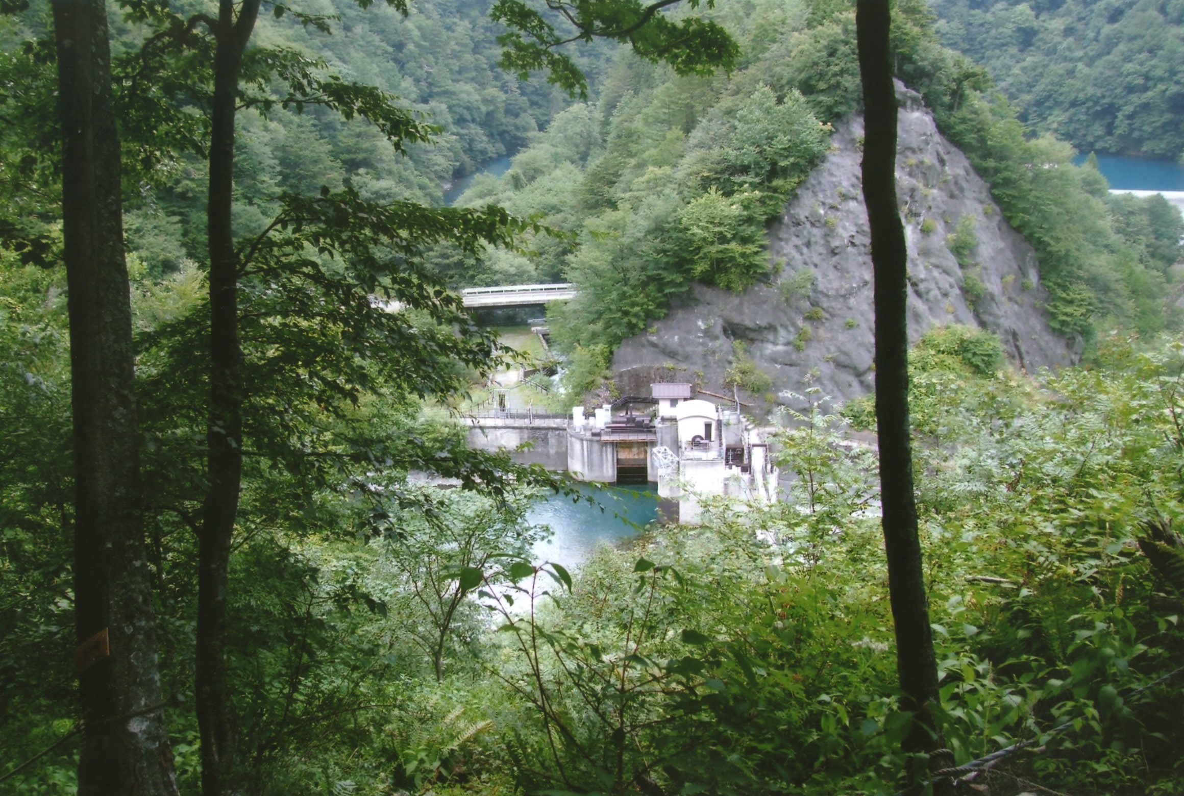 img018.jpg