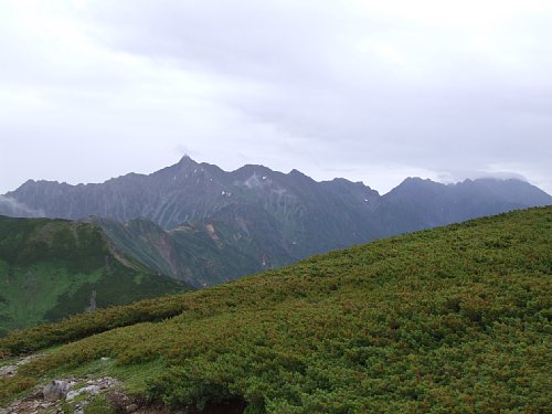 DSCF8380.JPG
