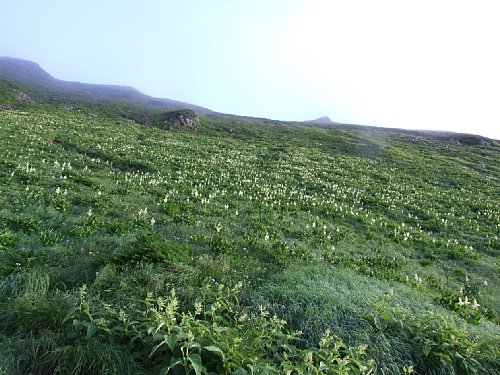 DSCF8413.JPG