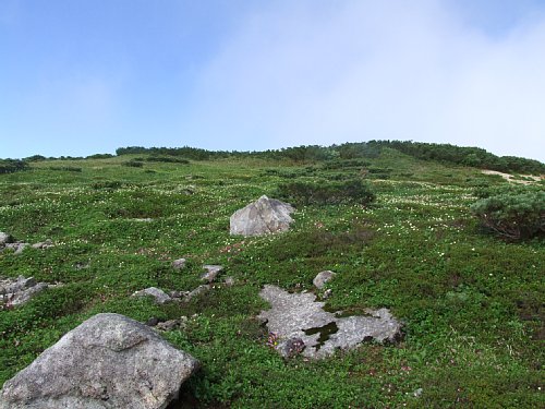 DSCF8445.JPG
