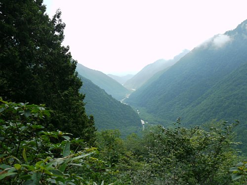 P1010482.JPG