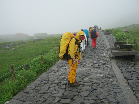 IMG_0541.jpg