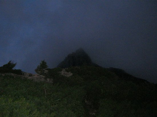 IMG_0740.jpg