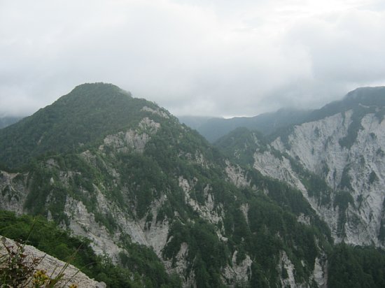 IMG_0753.jpg