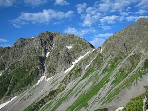 IMG_2035.jpg