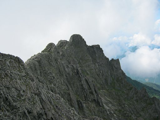 IMG_2049.jpg