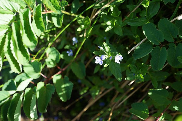DSC05542.JPG