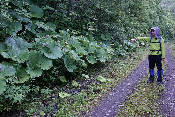 DSC08737.jpg