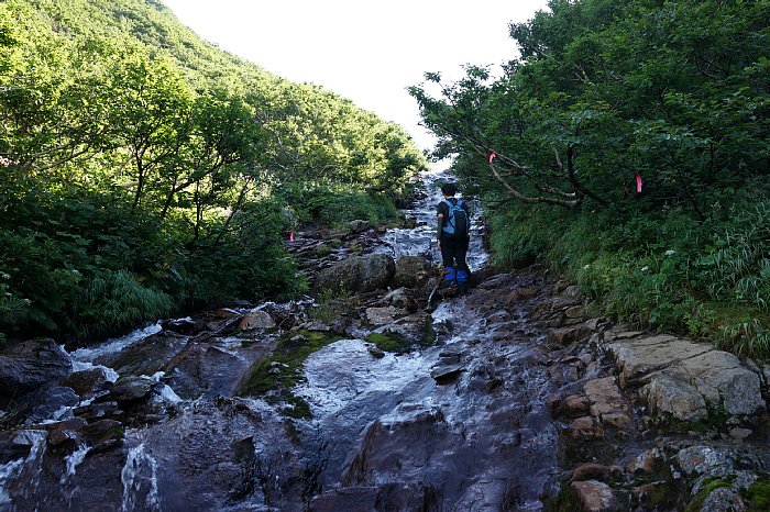 DSC08763.jpg
