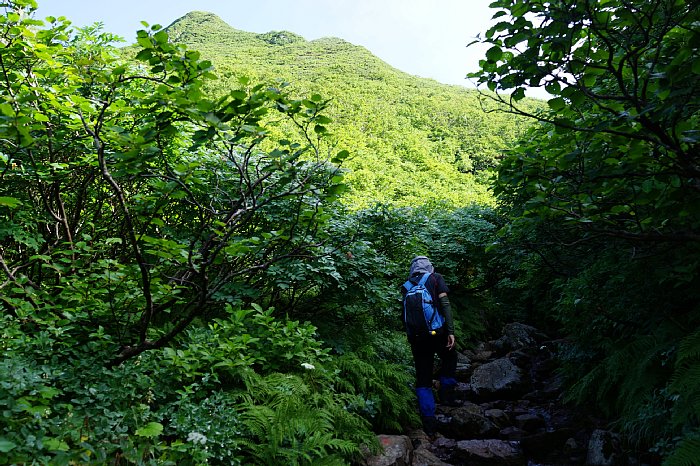 DSC08775.jpg