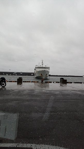 IMG_20170812_161348.jpg