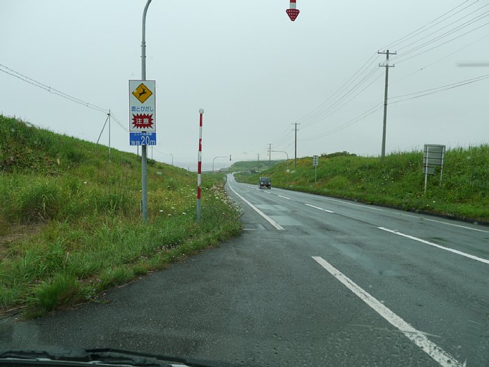 P1030891.jpg